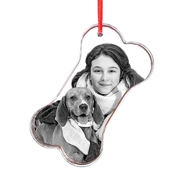 3D Crystal Ornament - Bone - Image 4