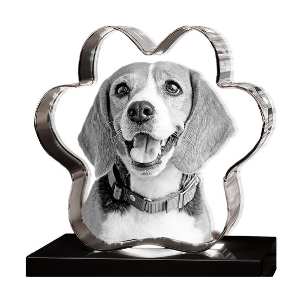 3D Crystal Paw - Image 2