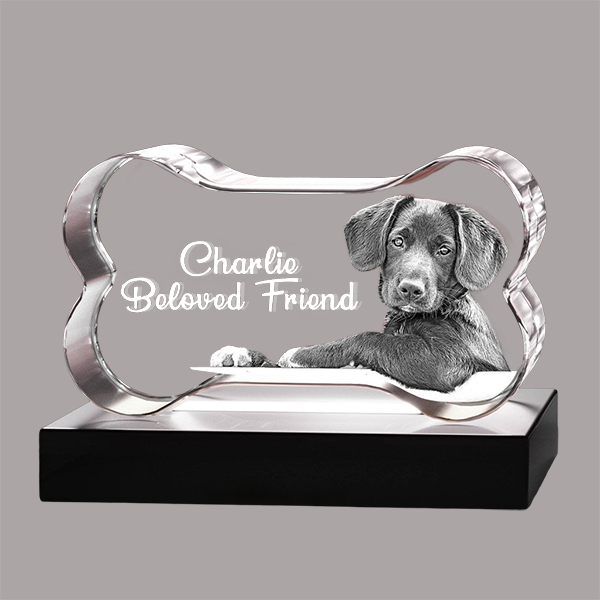 3D Crystal - Bone - Image 2