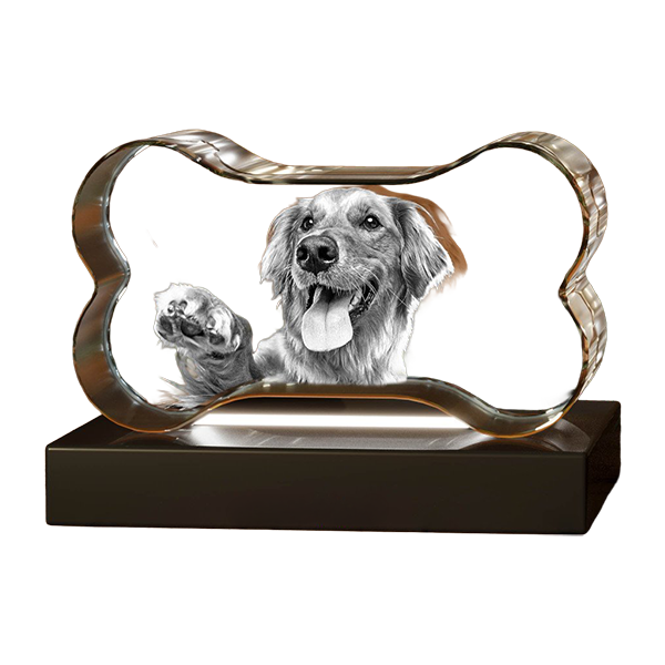 3D Crystal - Bone - Image 4